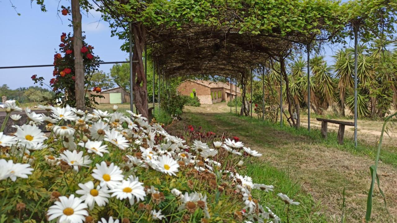 Il Canto Di Kokopelli Country Houses Brattiro Экстерьер фото